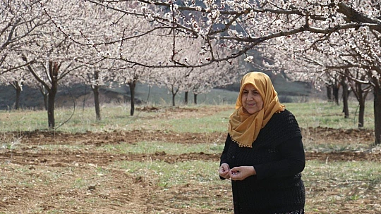 Elazığ'da ağaçlar beyaz gelinliğini giydi, muhteşem görüntü ortaya çıktı