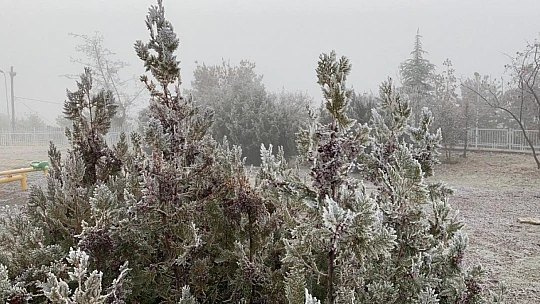 Elazığ'da ağaçlar kırağı tuttu, süs havuzları dondu