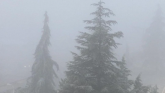 Elazığ'da ağaçlar kırağı tuttu, süs havuzları dondu