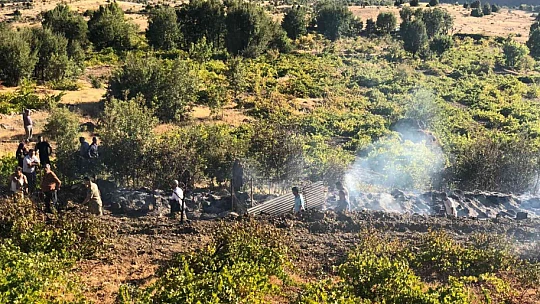 Elazığ'da ağaçlık alanda yangın: Vatandaşlar seferber oldu