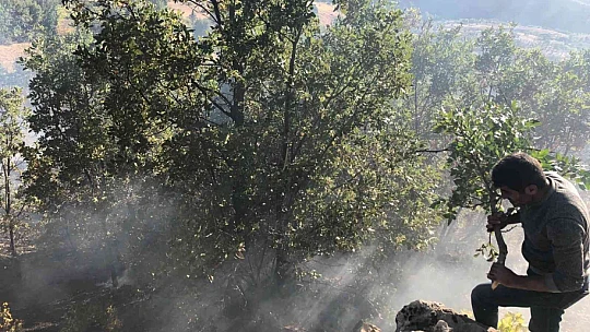 Elazığ'da ağaçlık alanda yangın: Vatandaşlar seferber oldu