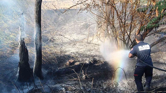Elazığ'da ağaçlık alandaki yangın söndürüldü