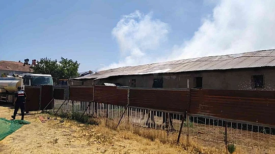 Elazığ'da ahır yangını: 18 büyükbaş kurtarıldı, 30 ton saman yandı