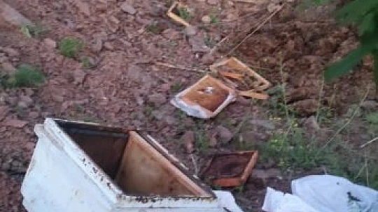 Elazığ'da ayılar arı kovanlarını parçaladı
