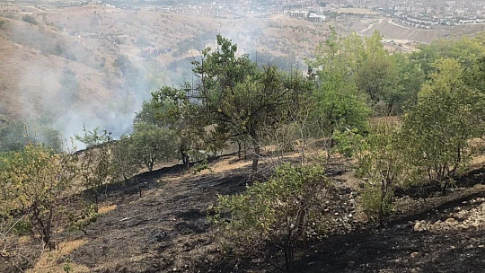 Elazığ'da bahçe yangınında 20 dönüm alan zarar gördü