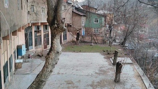 Elazığ'da bulunan 115 yıllık 'Dua çınarı' tescillendi