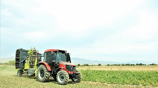 Elazığ'da çiftçiler şeker pancarı mesaisinde