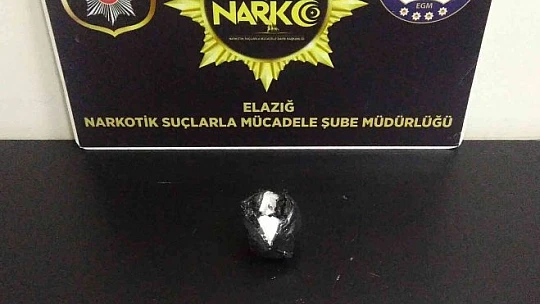 Elazığ'da dedektör köpeği 'Alex' uyuşturucu tacirlerine geçit vermedi: 5 gözaltı