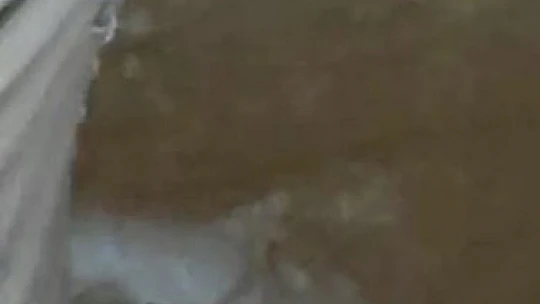 Elazığ'da definecilerin kazdığı kuyuya düşen keçi kurtarıldı