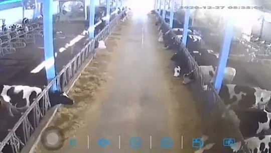 Elazığ'da depremin büyüklüğünü gösteren yeni görüntüler dikkat çekti