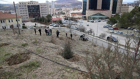 Elazığ'da fidanlar şehit Osman Paşa ve silah arkadaşları için toprakla buluşturuldu