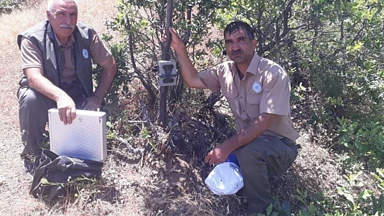 Elazığ'da fotokapanların bakımı yapıldı