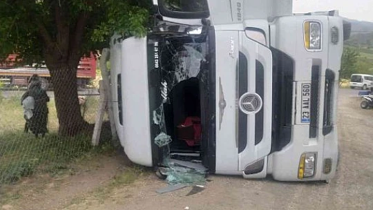 Elazığ'da hayvan yüklü tır yan yattı, 170 hayvan telef oldu