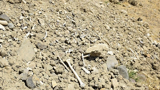 Elazığ'da içme suyu yolu mezarlık içinden geçince, kemikler etrafa saçıldı