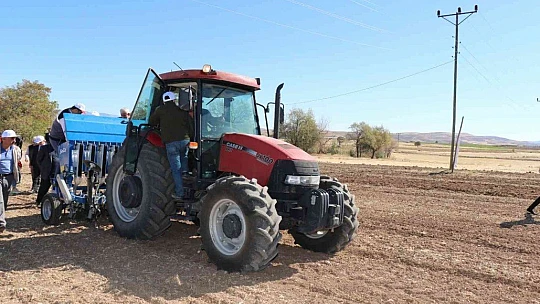 Elazığ'da ikinci ürün olarak sarımsak ekimi gerçekleştirildi