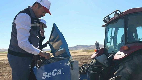 Elazığ'da ikinci ürün olarak sarımsak ekimi gerçekleştirildi