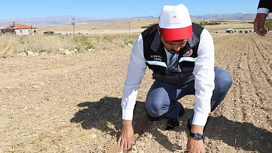 Elazığ'da ikinci ürün olarak sarımsak ekimi gerçekleştirildi