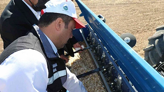 Elazığ'da ikinci ürün olarak sarımsak ekimi gerçekleştirildi