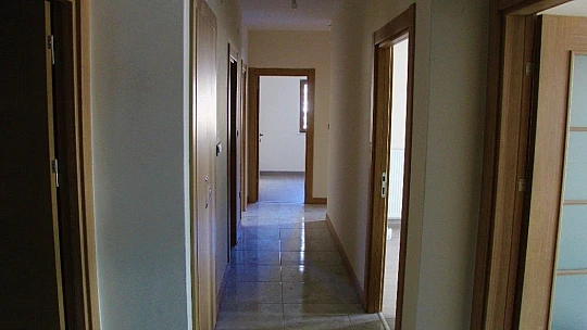 Elazığ'da ilk deprem konutları tamamlandı, 7 ayda yeni bir Dilek Sitesi dikildi