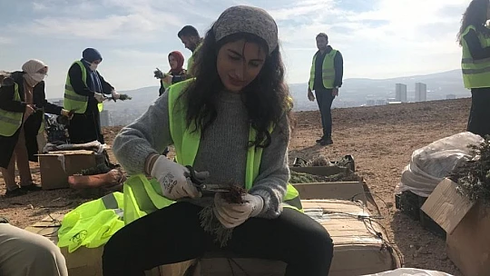 Elazığ'da İpek Yolu Gençlik Merkezi gönüllülerinden lavanta parkı