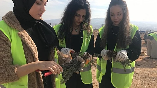 Elazığ'da İpek Yolu Gençlik Merkezi gönüllülerinden lavanta parkı