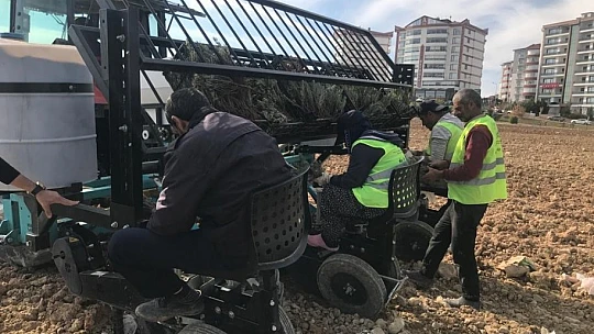 Elazığ'da İpek Yolu Gençlik Merkezi gönüllülerinden lavanta parkı