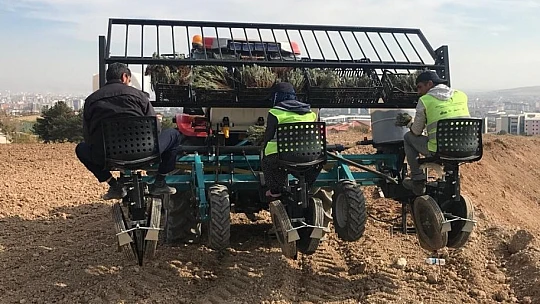 Elazığ'da İpek Yolu Gençlik Merkezi gönüllülerinden lavanta parkı