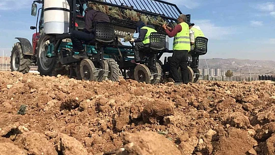 Elazığ'da İpek Yolu Gençlik Merkezi gönüllülerinden lavanta parkı