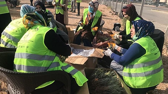 Elazığ'da İpek Yolu Gençlik Merkezi gönüllülerinden lavanta parkı