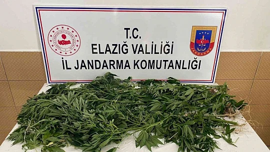 Elazığ'da jandarmadan eş zamanlı uyuşturucu operasyonu