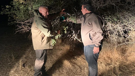 Elazığ'da kaçak avcı denetiminde bıldırcın sesi çıkaran 2 cihaz ele geçirildi