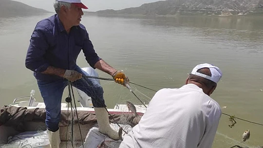 Elazığ'da kaçak avcılara operasyon