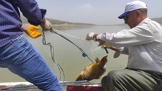 Elazığ'da kaçak avcılara operasyon