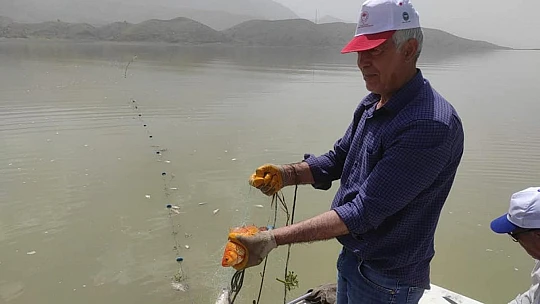 Elazığ'da kaçak avcılara operasyon