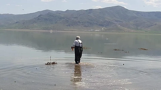 Elazığ'da kaçak avcılara operasyon