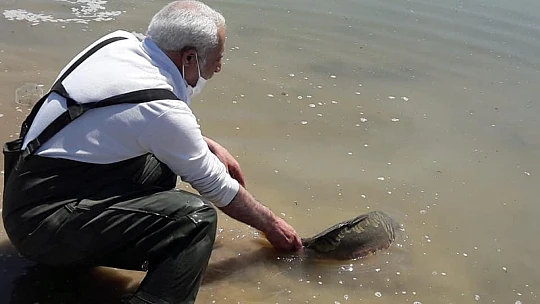 Elazığ'da kaçak avcılara operasyon