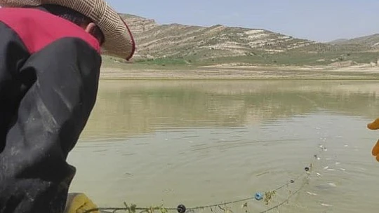 Elazığ'da kaçak avcılara operasyon