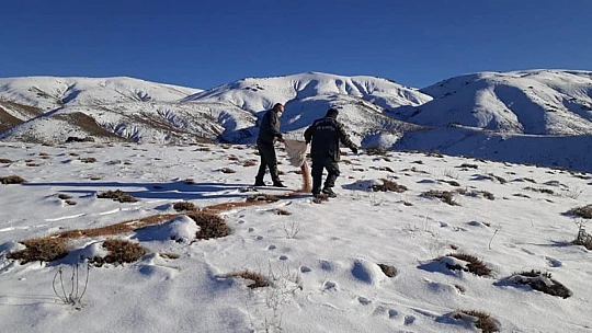 Elazığ'da kaçak avla mücadele ve yaban hayvanlarına yem desteği