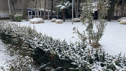 Elazığ'da kar etkili oldu, 101 köy yolu kapandı