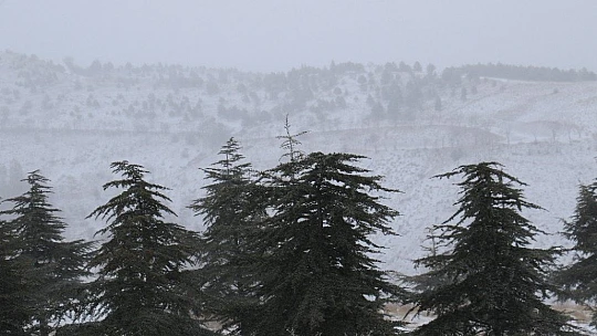 Elazığ'da kar yağışı başladı, tarihi mahalle beyaza büründü