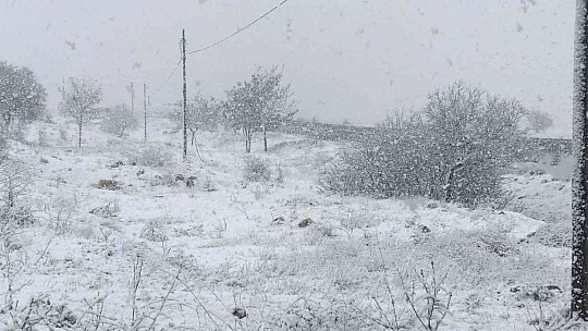Elazığ'da kar yeniden başladı