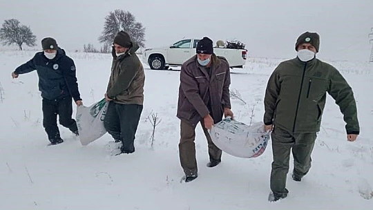 Elazığ'da karla kaplı bölgelerde yaban hayatına yem desteği