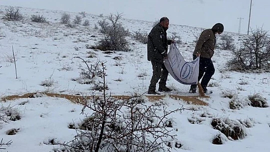 Elazığ'da karla kaplı bölgelerde yaban hayatına yem desteği