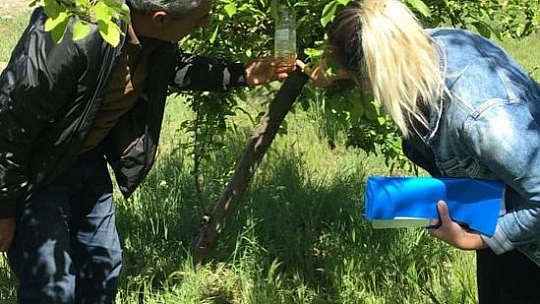Elazığ'da kayısı ve elma entegre bahçeleri kontrol edildi