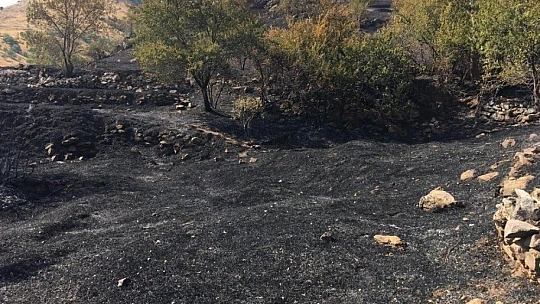 Elazığ'daki bahçe yangını korkuttu