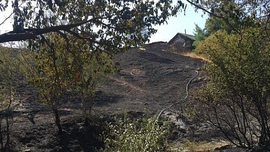 Elazığ'daki bahçe yangını korkuttu