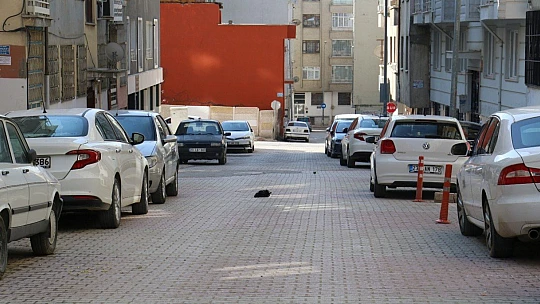 Elazığ'da kısıtlama sessizliği