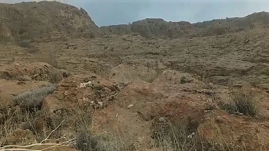 Elazığ'da koruma altındaki dağ keçileri sürü halinde görüntülendi