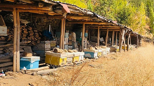 Elazığ'da kovanlar kontrol edildi