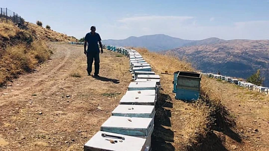 Elazığ'da kovanlar kontrol edildi